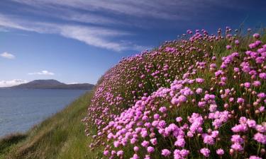 Casas en Castlegregory