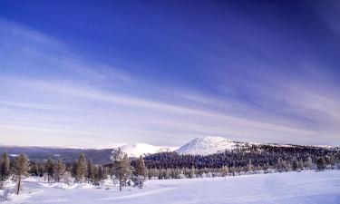 Casas y chalets en Ylläs