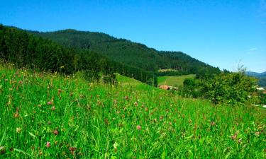 Ferienwohnungen in Bad Dürrheim