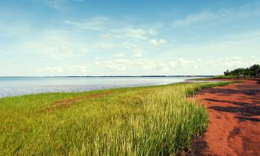 Hotel convenienti a Tracadie