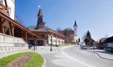 Hotéis com estacionamento em Stará Bystrica