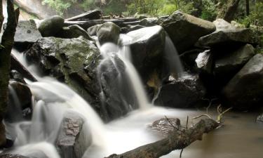 Hoteles baratos en Hogsback