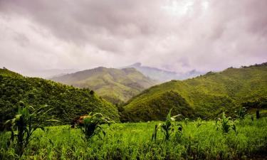 Cottages in Thung Chang