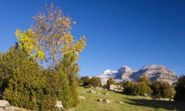 Appartementen in Campo