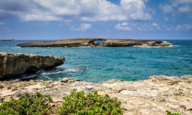 Hotéis em Laie