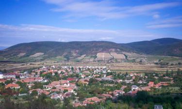 Hoteles con parking en Erdőbénye