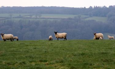 Bed and breakfasts en South Molton