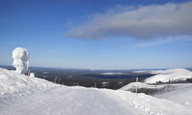 Haustierfreundliche Hotels in Ylläsjärvi