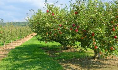 Ferieboliger i Jolimetz