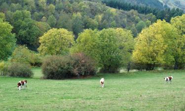 Cheap hotels in Ouroux en Morvan