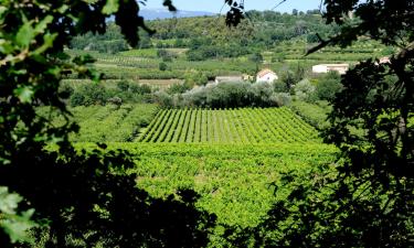 Sainte-Cécile-les-Vignes şehrindeki otoparklar