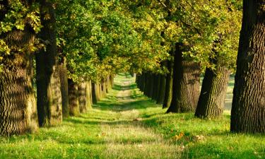 Hoteles familiares en Neerglabbeek