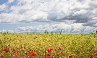 Alquileres vacacionales en Le Beausset