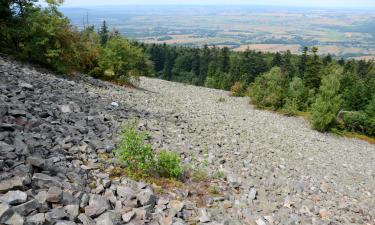 Alquileres temporarios en Łysa Góra