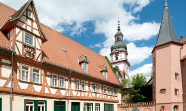 Hotels in Erbach