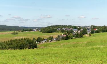 Hotellit, joissa on pysäköintimahdollisuus kohteessa Neustadt am Rennsteig