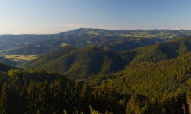 Hoteles con parking en Pfalzgrafenweiler