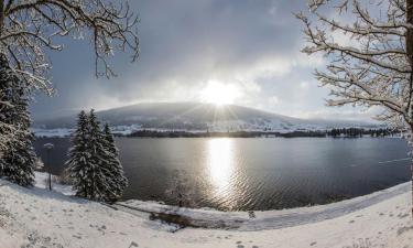 Hoteller med parkering i Entre-Deux-Monts