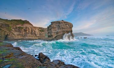 Hotels with Parking in Muriwai Beach