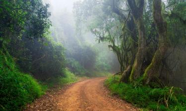 Self Catering Accommodation in Magoebaskloof