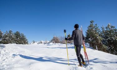 Skihoteller i Le Bettaix