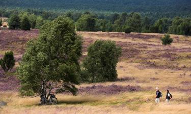 Guesthouset kohteessa Undeloh