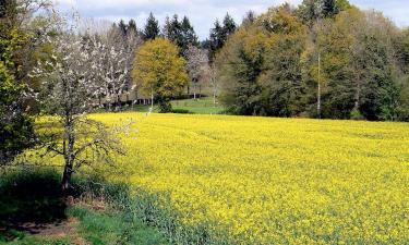 Holiday Rentals in La Chapelle-aux-Filzméens