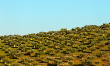 Hoteles familiares en Cano