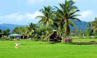 Βίλες σε Cianjur