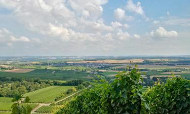 Family Hotels in Cleebronn