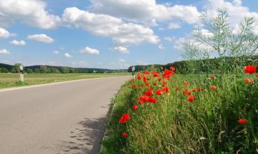 Hoteles en Zusmarshausen