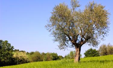 Alquileres vacacionales en Borgo Pantano