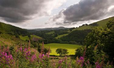 Allotjaments vacacionals a Cynghordy