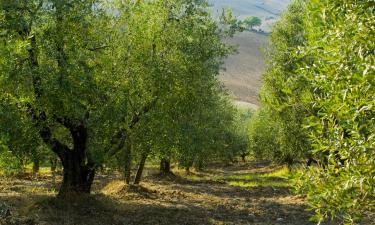 Familiehoteller i Marciaga