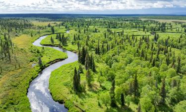 Pénztárcabarát nyaralások King Salmon városában