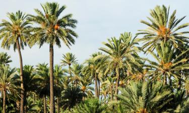 Allotjaments a la platja a l'Alcúdia