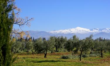 Alquileres vacacionales en Nigüelas