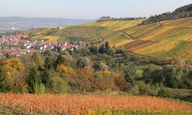 Three-Star Hotels in Weinstadt