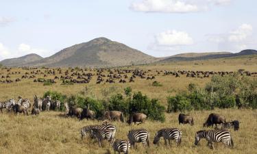 Hoteles con parking en Masai Mara