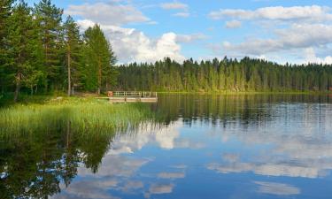 Lampsijärvi şehrindeki otoparklar