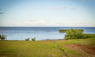 Beach rentals in Mustvee