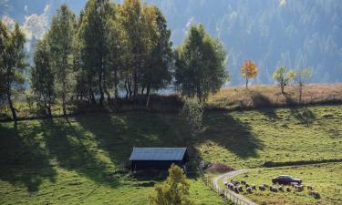 Cottages in Boge