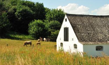 Hotell med parkering i Borrby