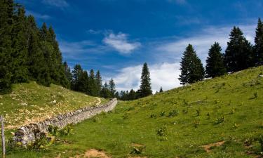 Vacaciones baratas en Buchs