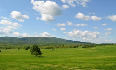 Hotely s parkovaním v destinácii Velika