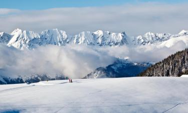 Ski Resorts in Flumet