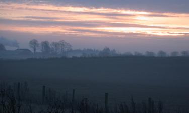 Bed and Breakfasts en Egtved