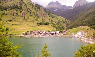 Хотели, които приемат домашни любимци, в Castello