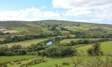 Villas in Cloghan