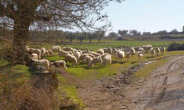 Παραθεριστικές κατοικίες σε Quinta das Quebradas